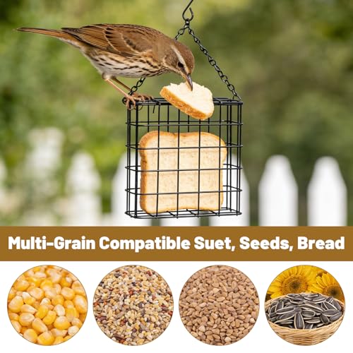 Suet Bird Feeders Outdoor, 6 Pack Hanging Wild Bird Feeder with Single Cake Capacity, Weatherproof Metal Suet Feeder for Garden Yard Decoration, Easy to Clean & Hang (Black)