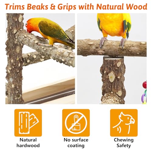 BNOSDM Natural Wood Bird Playground for Training & Playing, Parrot Perch Stand Jungle Gym with Detachable Tray & Stainless Feeder Cups Parakeet Cage Playstand for Budgie, Cockatiel, African Grey - color: Double Column Bird Stand