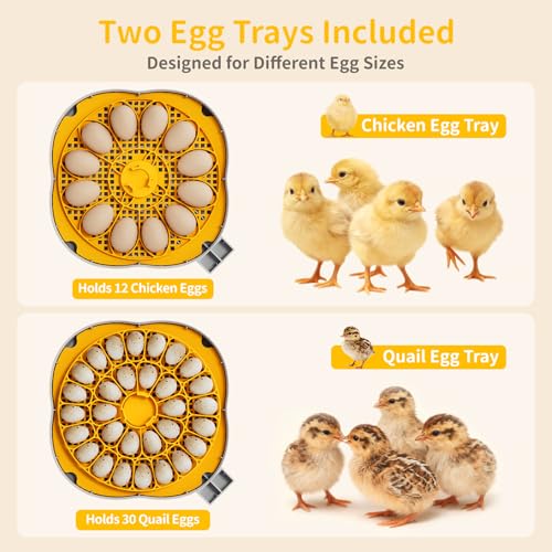Egg Incubators for Hatching Eggs, 12 Chicken or 30 Quail Eggs Incubator | Dual Egg Trays, Auto Egg Turning, Auto Water Refill, Incubation Timer, 360° Clear View Window & Built-in Egg Candler - color: Yellow, size: 12 Eggs