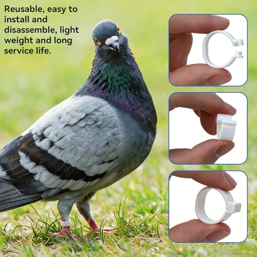 Cyrank 100pcs Birds Foot Rings, 12mm 001‑100 Numbered Pigeon Leg Bands Ring Plastic Foot Bands Clip on Leg Rings for Chicks Opening Foot Ring for Pigeon Chicks Duck Dove(White)