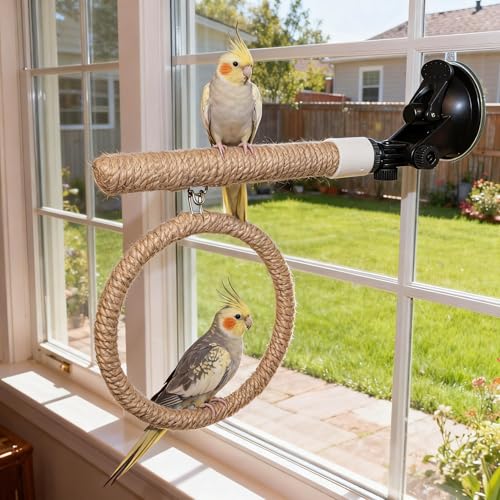 Natural Flax Bird Perch Stand with Strong Suction Cups | Movable Parrot Training Perch for Window/Mirror/Car/Tiles | Universal for Budgie, Cockatiel, Conure (Perch Stand with Swing) - color: Perch Stand with Swing