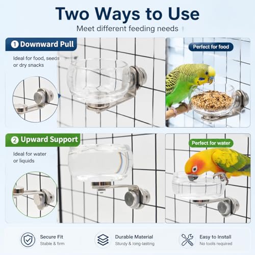 Magnetic Glass Bird Feeding Bowl for Cage, No Drill Removable Water and Food Cup for Parrots, Cockatiels, Conures, Budgies and Lovebirds, 100ml,4246-2 - color: Transparent