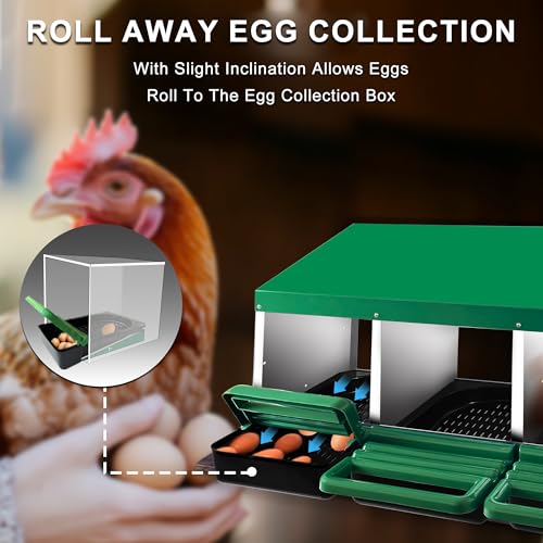 Eggluuz Chicken Nesting Box, 3 Compartments Chickens Egg Laying Nest Boxes for Hens Green - size: 3 Holes