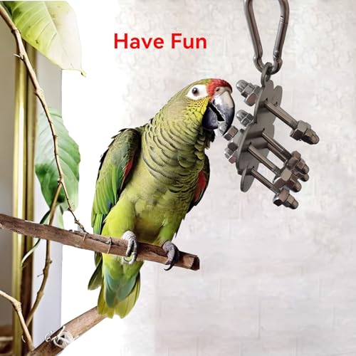 JSLZF Stainless Steel Parrot Toy, Hanging African Grey Chew Toy for Bird, Non-Removable Cap Nuts Foraging Bird Toy for Conure, Cockatiel, Parakeet, Cockatoo, African Grey
