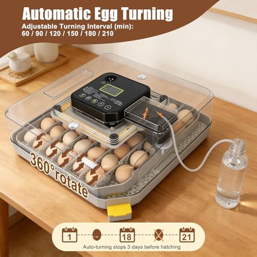 Gen IV – 48 Egg Fully Automatic Incubator, 2026 Upgraded Design, Intelligent Sensor-Based Humidity & Temp Control, Custom Days, Adjustable Auto Turning & Stop, Chick Separator, Flexible Egg Spacing - size: 48 egg-black
