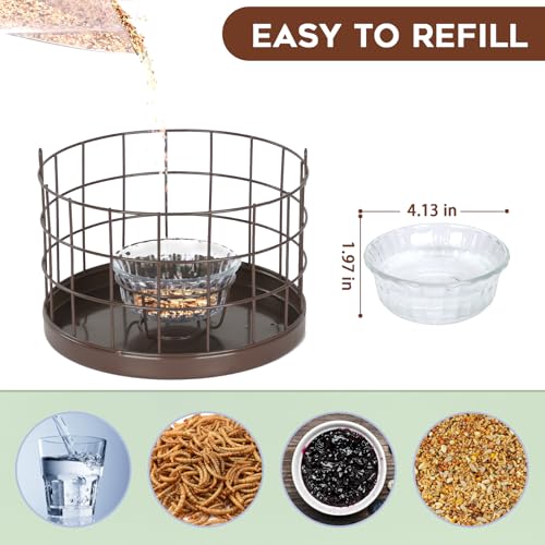 Gbekery Caged Bluebird Feeder for Mealworms with Glass Bowl, Squirrel Proof Bird Feeder for Small Birds Only, Detachable Hook, Large Space, Outdoors Weatherproof, Metal, Brown - style: Brown Glass Bowl