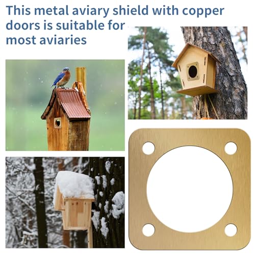 10Pcs Bird House Guard with Copper Portal 1 1/2 Inch Opening, Rustproof Metal Bluebird House Predator Guard with Screws, Woodpecker & Squirrel Proof Birdhouse Hole Protector for Outdoor Nesting Box