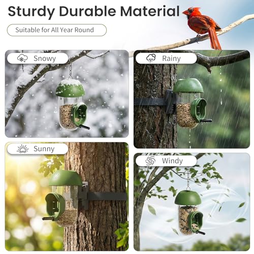 ‌LONA 1Pack Tube Bird Feeders, Weatherproof Design with 1 Feeding Port | Easy-fill Top Design, 2 Ways for Hanging, Suits Mixed Seeds, Squirrel-Proof Bird Feeder for Backyard/ Garden/ Patio, Green - size: 1 Port