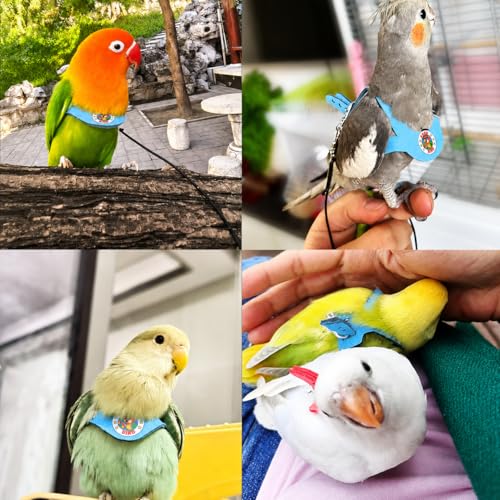 Bird Harness and 3M Elastic Flight Leash, Adjustable Parrot Harness for Budgies, Parakeets, Lovebirds, Cockatiels, Conures, Quaker Parrots, Pigeons(Blue, S) 6350-20 - color: Light Blue, size: S,for Green Cheek and similar size birds
