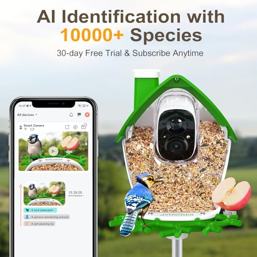 Smart Bird Feeder with Camera Solar Powered 2K HD Live Video with 32GB Card | AI Identifies 10,000+ Bird Species, Instant Alerts, IP65 Waterproof, Easy Setup, Bird Watching Gift for Bird Lovers - color: Light Green