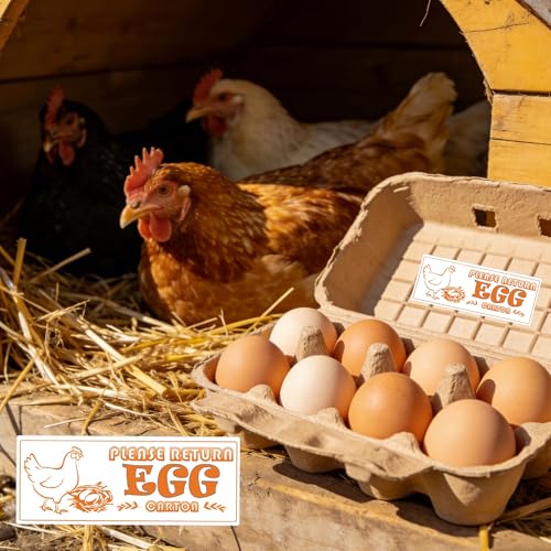 Please Return Egg Carton Stickers 1x2.5 Inch Farm Fresh Eggs Carton Labels 480 Pcs Eggs Carton Labels Egg Stickers Chicken Egg Cartons Sticker for Chicken Container Packaging Stickers