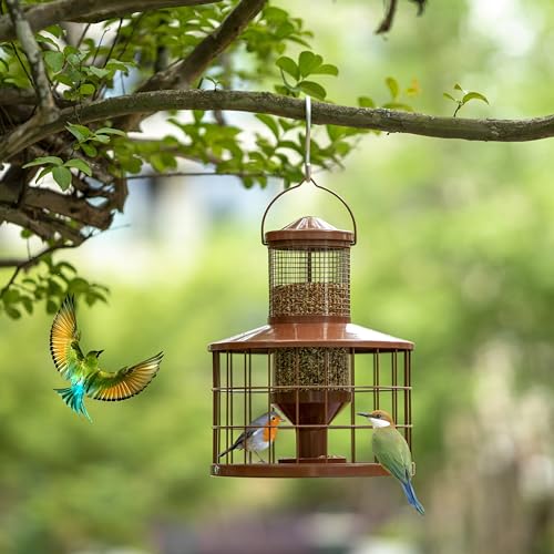 Caged Bird Feeders Squirrel-Proof, Metal, 2.8 Lbs Capacity-Cage Tube Seed Feeders with Tray Outdoor Hanging, Attract Birds,Detachable Cleaning, Starling Proof Wild Bird Feeder（Brown） - color: Brown