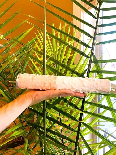 Polly's Edible Cuttlebone Calcium Bird Cage Perch for Budgies, Parakeets, Amazons, Blue & Golds, Macaws and Cockatoos.… (Variety, Large) - color: Variety, size: Large