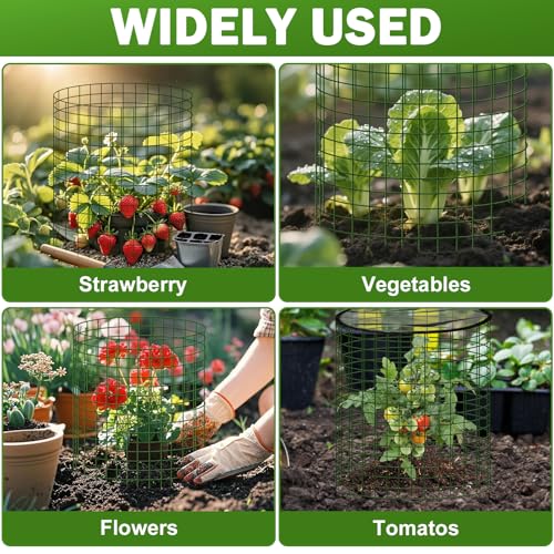 Plant Protector from Animals with Detachable Covers - 4 Pack 16”x 16" Wire Cage Cloches with Ground Stakes and Tools for Protecting Vegetable, Flower, Seedling
