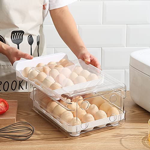 HOMQUEN Egg Holder, Clear Plastic - 2 Layer/40 Grid Egg Tray & Fresh Storage Box for Fridge