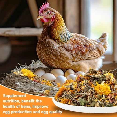 MAQIHAN 15oz Chicken Nesting Herbs - Natural Dried Poultry Herbs for Coop | Nesting Herbs for Chicken Coop Accessories, Coop Refresher, Bedding Decor, Nesting Box, Laying Hens, Daily Chicken Supplies - size: 15 Ounce (Pack of 1)