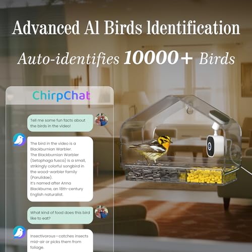 Window Bird Feeder with Strong Suction Cups and Smart Bird Camera | 2K Clear Vision, AI Bird Recognition Tech, Real-Time Alerts, Easy to Use, Detachable Tray, 2.4G Connectivity USB Powered - color: White