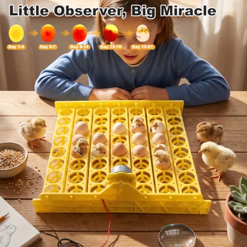 Premium Automatic Egg Incubator Hatcher with 56 Egg Capacity Automatic Egg Turner for Chickens Ducks and Pigeons Yellow Plastic 43 x 41.5 x 4.6 cm