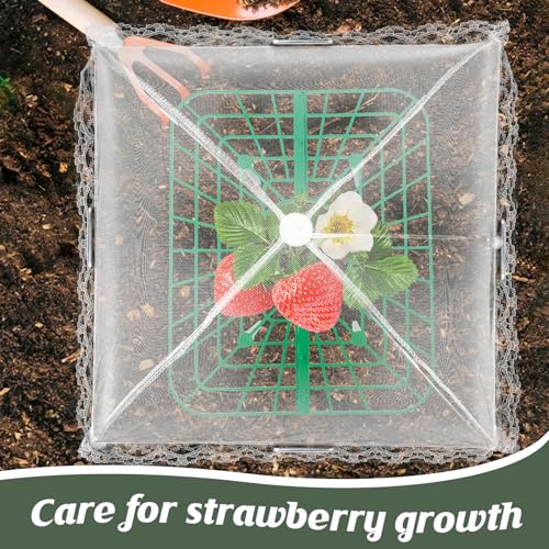 4 Sets Strawberry Plant Support with Mesh Plant Cover,Strawberry Growing Racks Sets with Iron Plant Nails and Storage Bag for Garden Strawberry Vegetables(White Net - Square) - color: White Net - Square