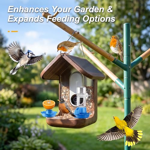 3 in 1 Nutrition Set, Compatible with Bird Buddy Feeders, Outdoor Bird House Accessories with Water Fountain, Fruit Spike & Jelly Tray Feeder, Easy to Attach