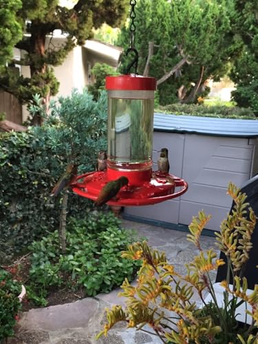 Rocky Mountain Goods Hummingbird Feeder – 16 oz Bright Red Plastic – Wide Mouth for Easy Filling and Cleaning – Includes S-Hook – Multiple Feeding Ports for More Hummingbirds