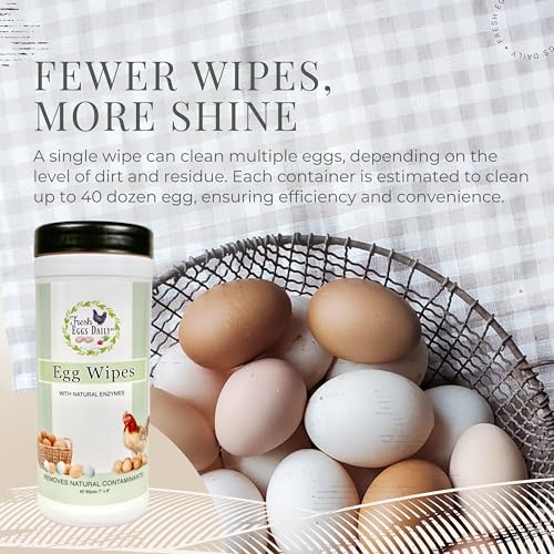 Fresh Eggs Daily Egg Wipes – Enzyme-Based Egg Cleaner for Backyard Chickens, No Rinse Needed, Natural Enzyme Formula - Natural Cleaning Wipes (2-Pack) - size: 40 Count (Pack of 2)