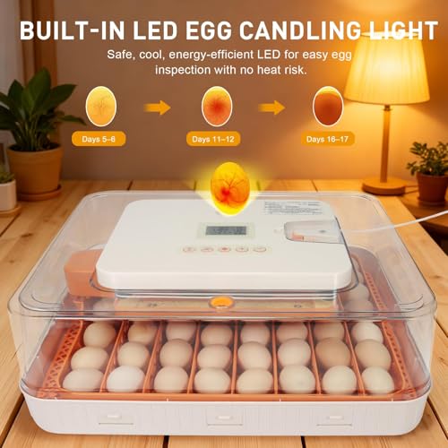 Gen IV – 56 Egg Fullly Automatic Incubator, 2026 Upgraded Design, Intelligent Sensor-Based Humidity & Temp Control, Chick Separator, Custom Days, Adjustable Auto Turning & Stop, Flexible Egg Spacing - size: 56 egg-orange