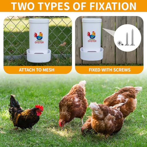 FoldTier 2 Pcs Chicken Oyster Shell Feeder and Grit Feeder for Quail, Pigeons, Doves, Chicks, Chicken Coop Accessories for Rust Prevention Comes with Installation Tools