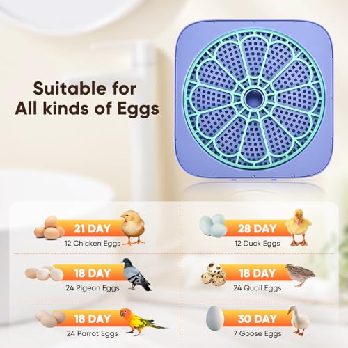 Incubators for Hatching Eggs, Smart Egg Incubator with Humidity & Temp Control and Auto Turner, 360° View Incubadora De Huevos De Gallina, Egg Candler, Incubator for Chicken Eggs, Ducks, Goose, Quail