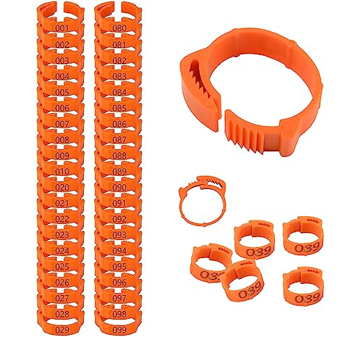 Chicken Leg Rings, 100 pcs, Numbered Tag Markers, Orange | Adjustable Foot Label, With Buckle, Clip-on Band, For Poultry Pigeon Chicks Bantam Duck Goose