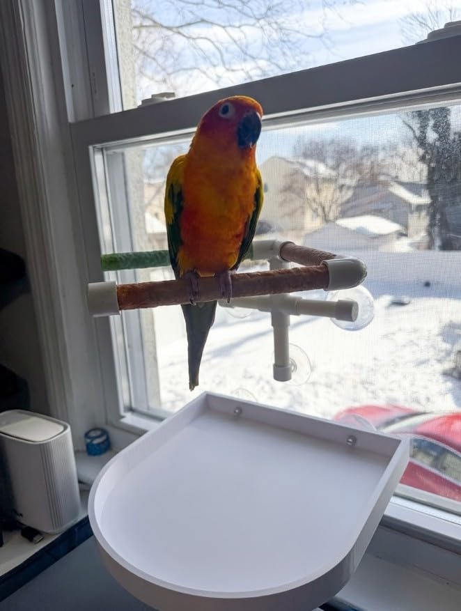 CleanPerch™ Bird Food Waste Catcher Tray with Suction Cups. Half Stadium Shape That attaches to Windows. Reduces Scatter, Easy-Clean, and Low-Profile (White, 12" x 11.5" x 3.7) - color: White, size: 12" x 11.5" x 3.7"