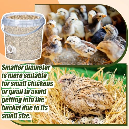 Teenyyou 20 Pack Quail Feeders No Waste Chicken Feeder Port DIY Chick Feed Saver Quail Supplies for Coturnix Small Poultry Farm Bucket Bin Container (1.5 Inch,White) - color: White, size: 1.5 Inch