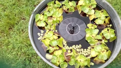 Solar Fountain, Solatec Solar Powered Bird Bath Fountain Pump 1.3W Solar Panel Kit Water Pump,Outdoor Watering Submersible Pump for Pond, Pool, Garden, Fish Tank, Aquarium