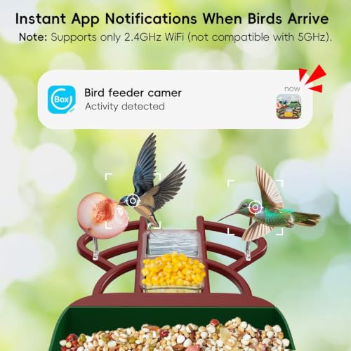 Smart Bird Feeder with Camera, Solar Panel & 5200mAh Battery, 4K HD Video, AI Identification, Instant Arrival Alerts & Alarm, IP65 Weatherproof, 32GB Card, 2L Capacity, for Bird Lover - color: Red Green