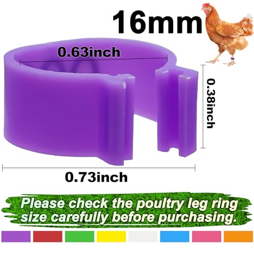 80 Pcs 16mm Chicken Leg Bands with 8 Colors, Colorful 01-80 Numbered Chicken Identification Leg Bands Duck Poultry Foot Tags for Ducks Bantam Guinea Pigeons Goose Gamefowl - size: 16mm - 8 Colors