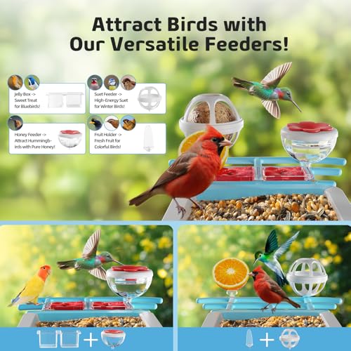 Bird Feeder with Camera 2K HD AI Smart Identify BirdSpecies Solar Panel Outdoors Birdhouse with Cam, Instant Arrival Alerts, Capture BirdVideo, Gifts for Mom Dad - color: Blue