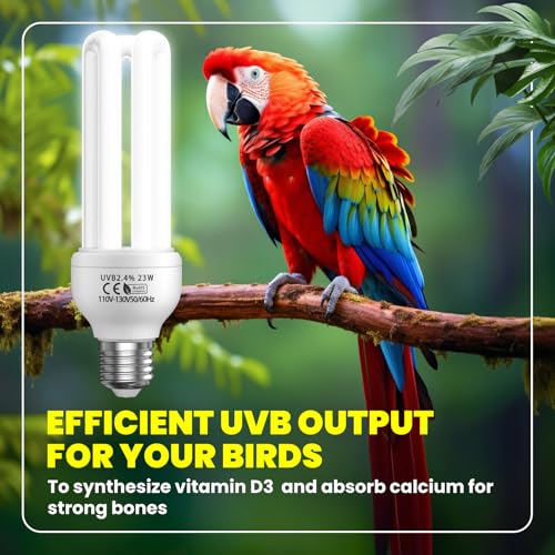 GlowUp 23W UVB Bulb for Bird, UVB 2.4 Compact Fluorescent Light Bulb E26 Birdcage Compact UVB 2.4 Lamp for Captive Birds and Reptiles - size: 23W UVB 2.4 Light Bulb