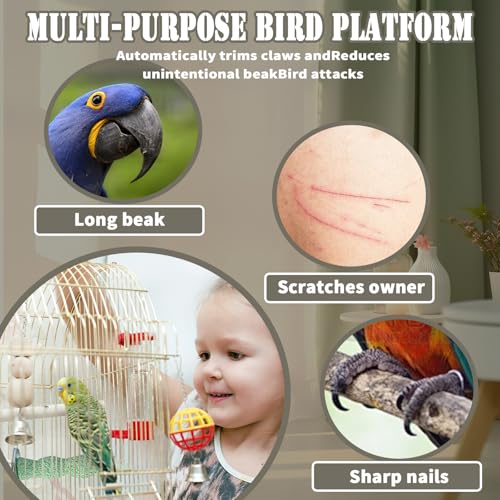 4PCS Bird Beak Grinding Stone,Cage Accessories for Parakeets,Bird Parrot Cage Perch, Stand Platform Foot Claws Trimmer Chewing Toys for Budgies, Parakeets, Cockatiels, Conures