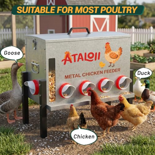 16gal 82LB Large Automatic Chicken Feeder with Window, Food Tray - No Waste | No Spill, Rust-proof Alloy Steel Poultry Feeder, Waterproof Metal Chicken Feeder for Indoor & Outdoor Chicken Coops (10 Ports - size: 16gal
