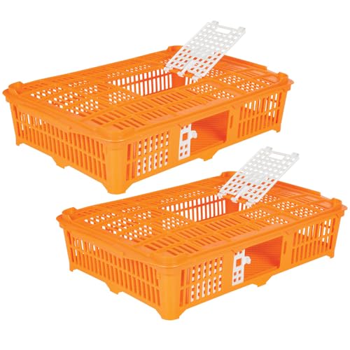 Premier 1 Quail Transport Crate - 26" L x 16" W x 5" H (2 Pack) | For field-trials & farm use. Up to 30 quail or newborn chicks. Top & side doors. Pre-assembled, stackable. Solid floor. - size: 2 Pack
