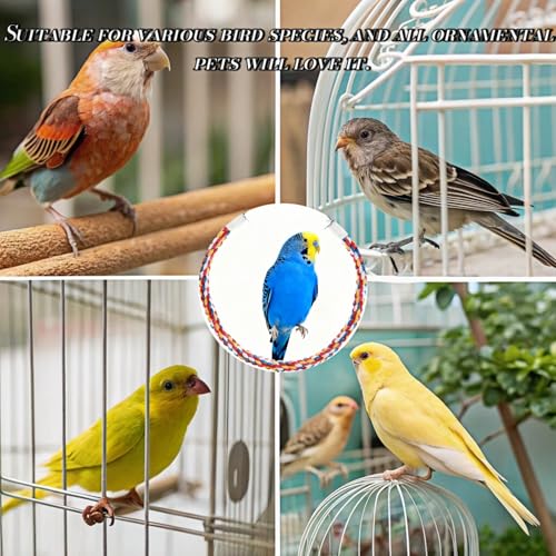 Bird Rope Perches, Parrot Toys, Bungee Rope Perches for Parrots, Cockatiels, Parakeets, Budgie Cages Comfy Birds (Metal Nut) - 15.75 inches - size: 40cm