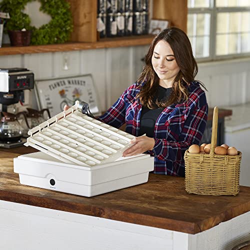 Farm Innovators Automatic Egg Turner, 41 Spot Chicken Egg Turning Tray with Thermometer for Improved Hatching Rate - Compatible with Select Incubators | Automatically turns the eggs completely every 4 hours to eliminate manual handling and improve hatch r