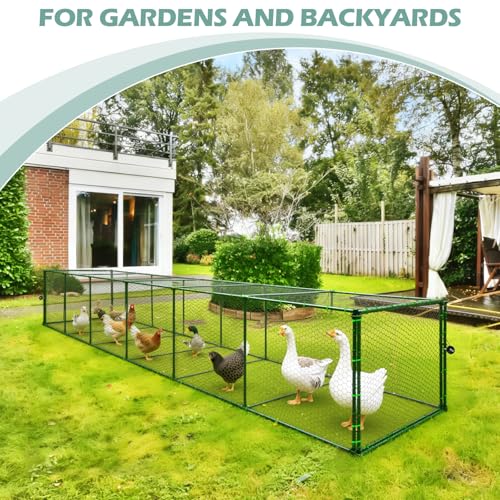 Heavy Duty Chicken Tunnel - 6-Section Portable Chicken Run with PVC Coated Wire Mesh & Steel Frame, Outdoor DIY Chicken Tunnel for Yard, Predator-Proof (1, 141 * 24 * 24 inches) - size: 146*24*24 inches