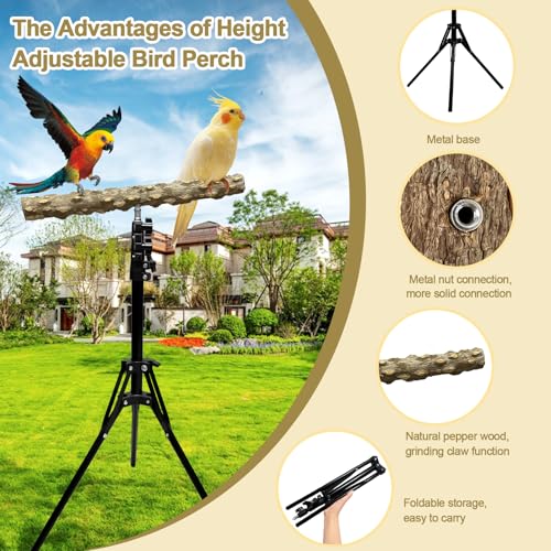 16-63 Inch Height Adjustable Bird Perch Pepper Wood Bird Training Perch Stand Parakeet Perches Indoor and Outdoor Parrot Stands for Small to Medium Bird - size: Floor Bird Perch