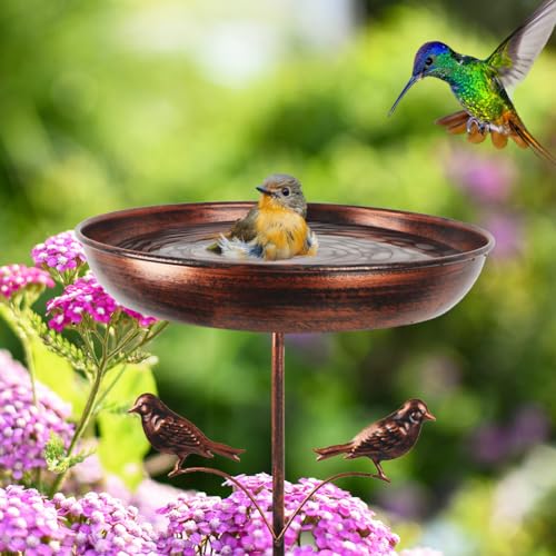 DREAMSOUL 13" Dia Bird Bath with 5 Prong Stake, Metal Birdbath | Solid Build Bird Bath for Outside, Durable Classic Vintage Look for Outdoor Living, Ideal Yard Bird Decoration - size: 13 Inch-A