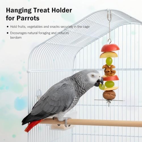 3P Stainless Steel Bird Cage Food Holder & Foraging Toy for Parakeets, Budgies, Macaws - Fruit & Vegetable Skewer Feeder