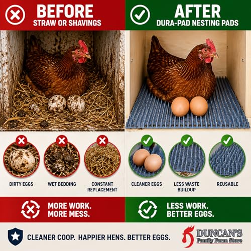 Duncan's Chicken Nesting Pads (6 Pack) – Washable Reusable Nesting Pads for Chicken Coop, Nest Box Pads & Nesting Box Liners for Chickens, Ducks & Hens, Cut-to-Fit Dura-Pad Poultry Mats | Reusable