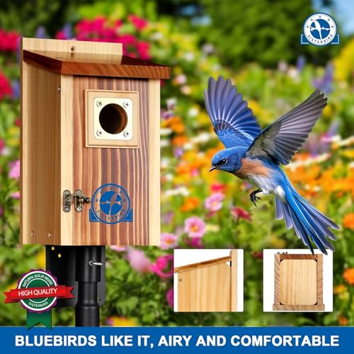 SISTERBIRD Premium Bluebird Houses for Outside, Bird Houses for Outside Suitable for Garden Decoration, Wooden Bird House, Blue Bird Houses for Outdoors Gift, Assembly Required - color: Light Toast & Copper-colored -- 1PK