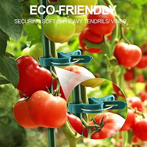 Yinghezu 30 Pcs trumpet 1 inch Plant Support Clips Tomato Plant Clips | Flower and Vine,Garden clips for Supporting Stems,Vines Grow Upright Climbing,Tool for Straightening,Tomato Cage,Trellis. - size: 30 PCS trumpet