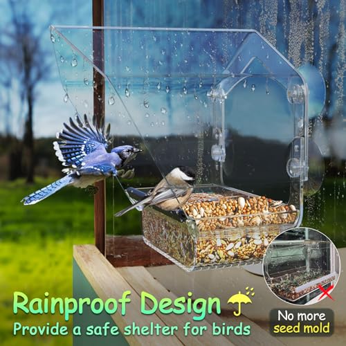 Ermete Window Bird Feeder with Strong Suction Cups, Large View Clear Feeder, Seed Tray, 13in x 5.5in x 4.2in for Outside Weather Proof (S2)